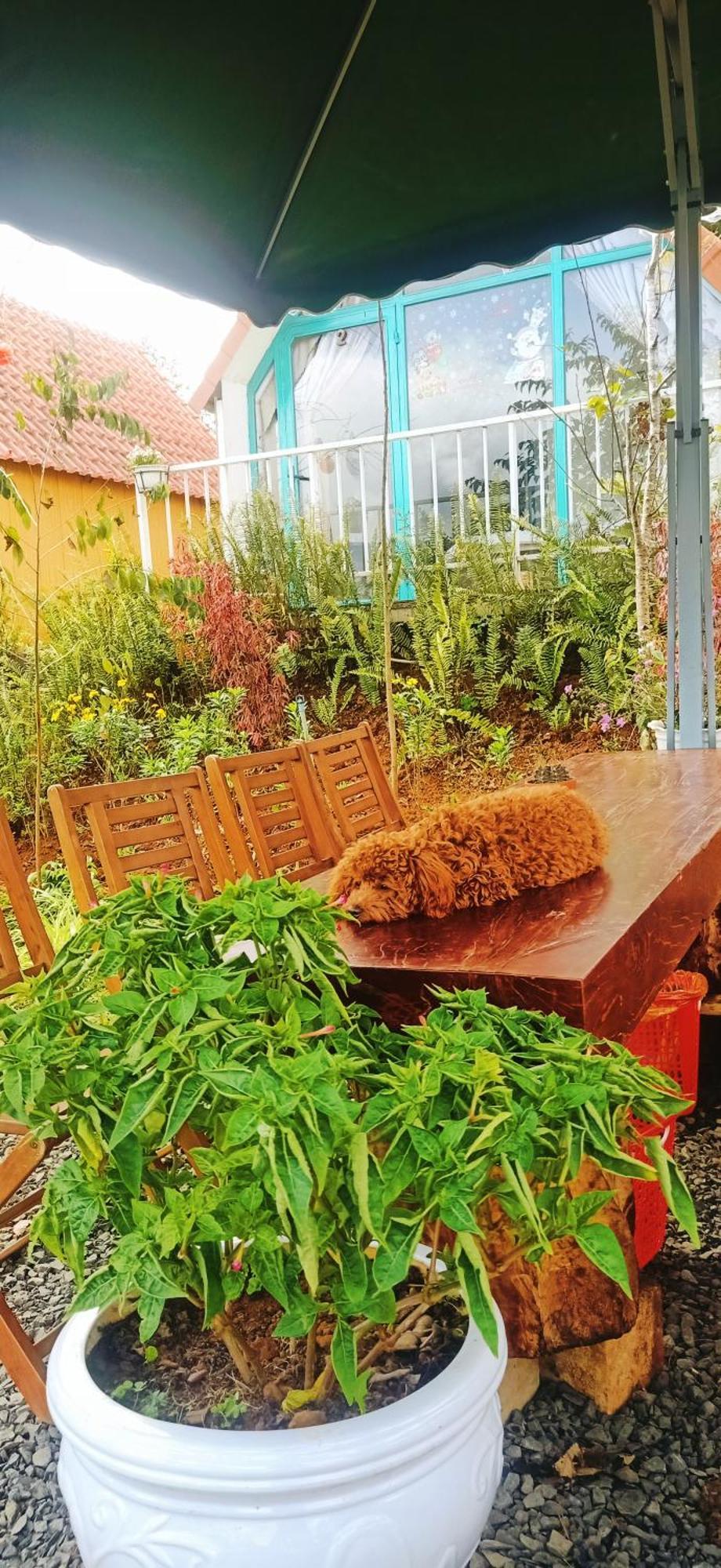Paradiso Homestay Mangden Kon Von Kla Buitenkant foto